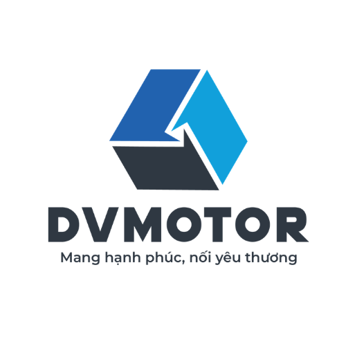 DVMOTOR